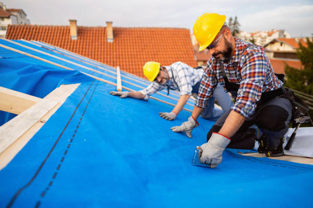 Best Roof Moss and Algae Removal  in Mineral Wells, TX